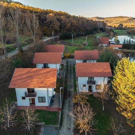 Pensiune Denisa Mediaş Esterno foto