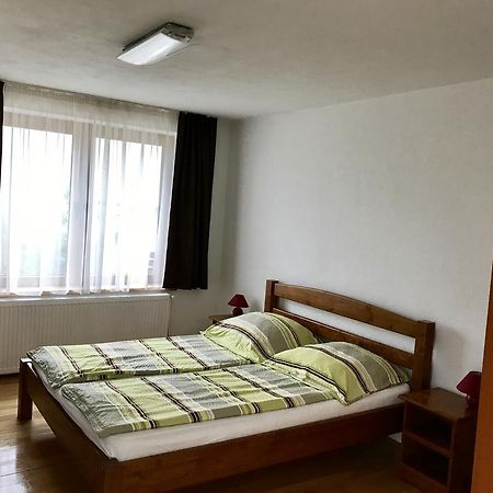 Pensiune Denisa Mediaş Esterno foto