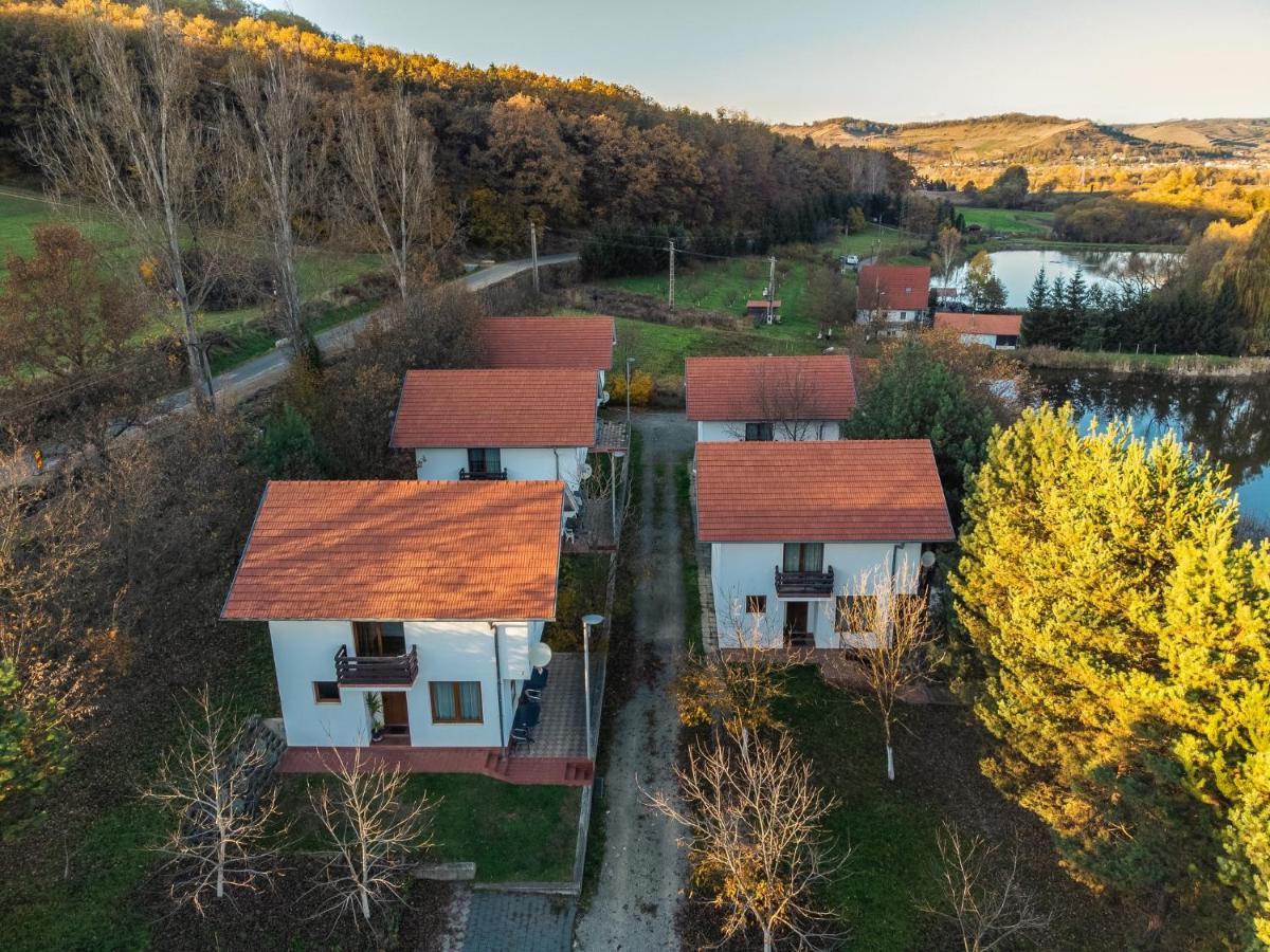 Pensiune Denisa Mediaş Esterno foto