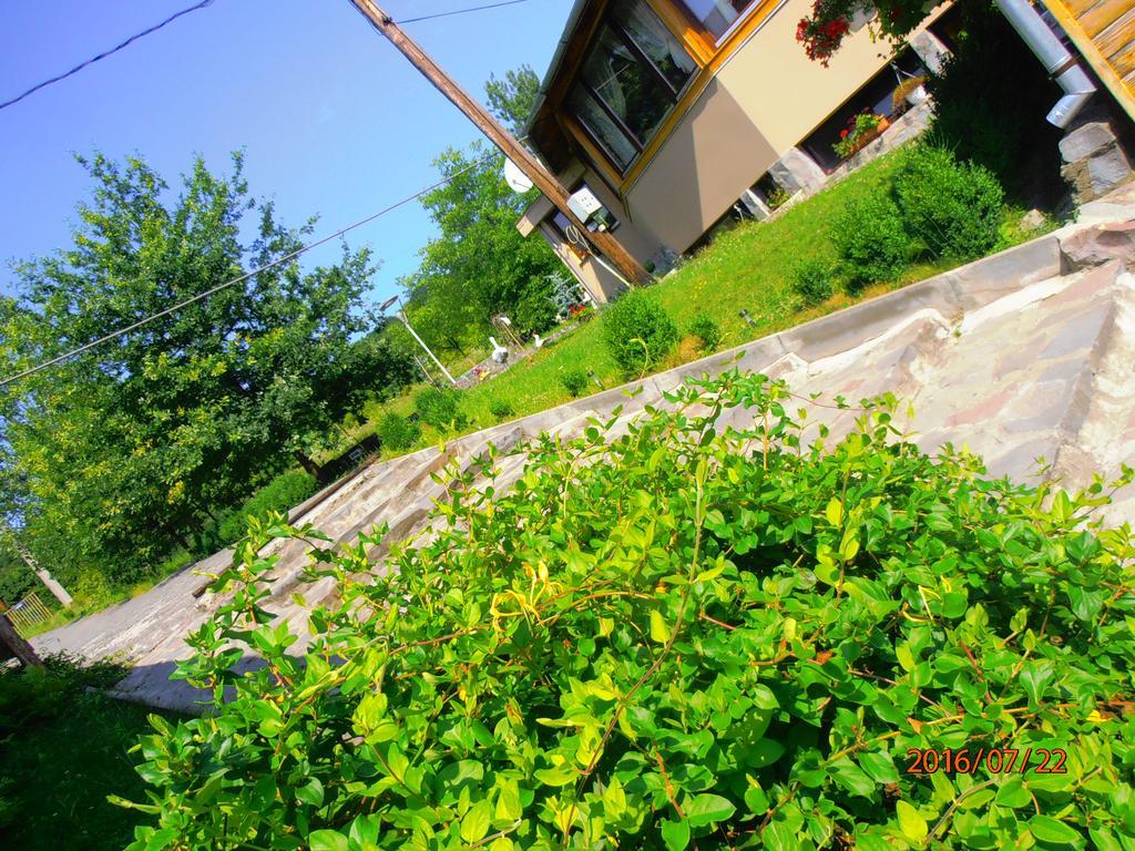 Pensiune Denisa Mediaş Esterno foto