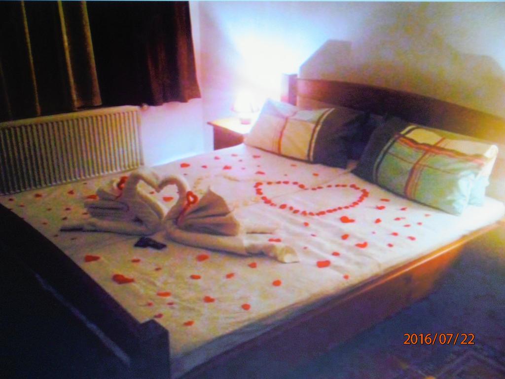 Pensiune Denisa Mediaş Esterno foto